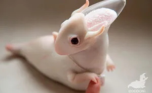 I Make Cute Alien Monsters From Polymer Clay