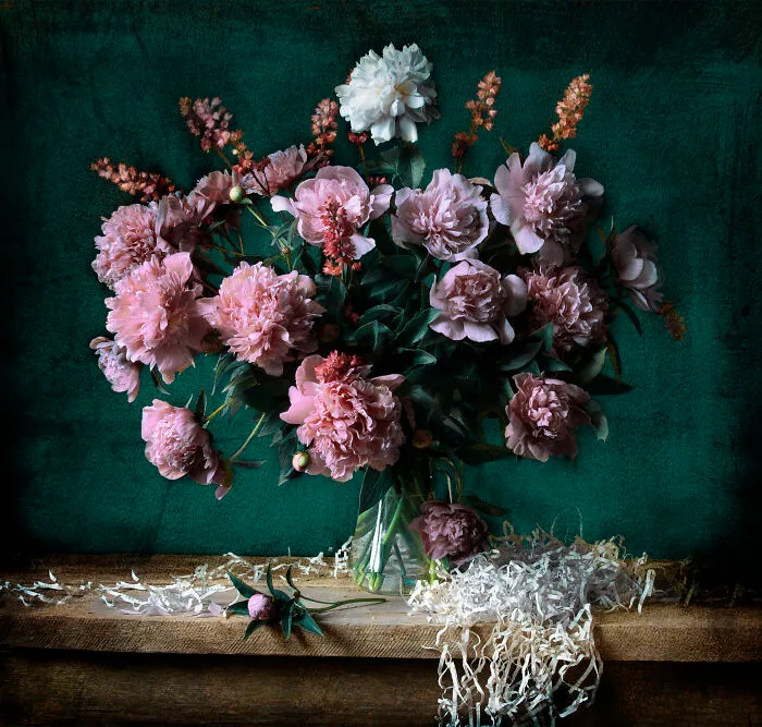 I Show The Fleeting Nature Of Life With My 17 Still Life Photographs
