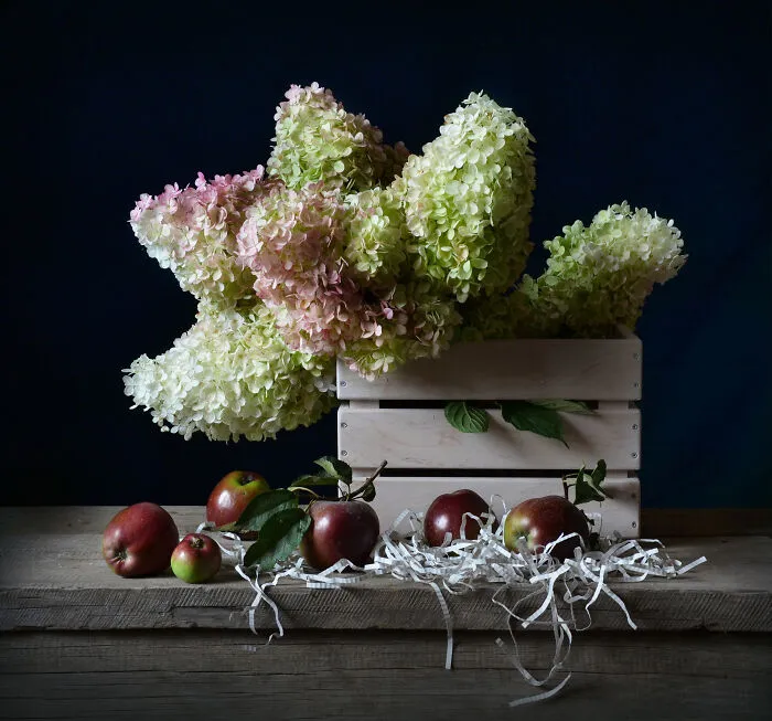 I Show The Fleeting Nature Of Life With My 17 Still Life Photographs