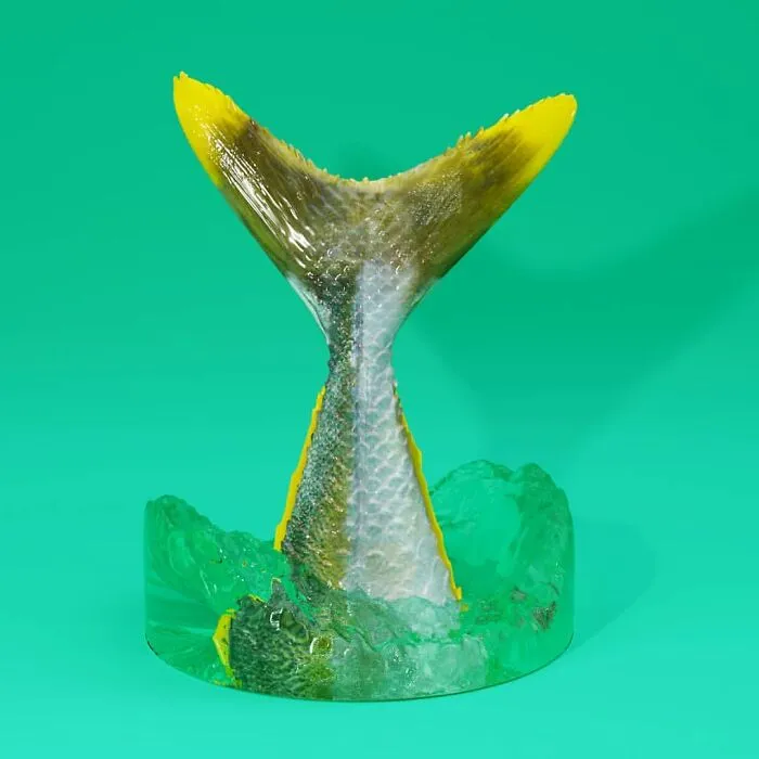Y Is For Yellowtail