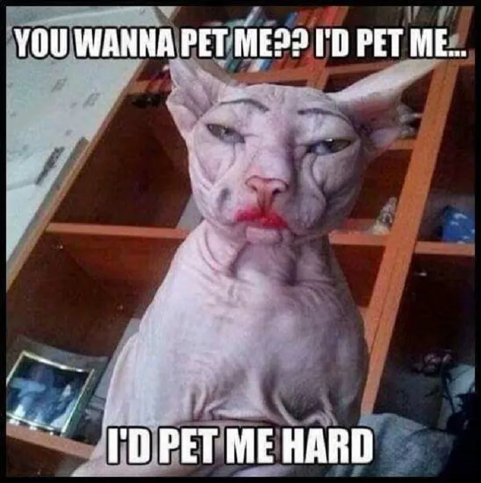 Ummmm....