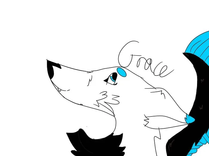 Here’s My Wolf I’ve Drawn Other But They’re Packed Away This Ones Not My Best