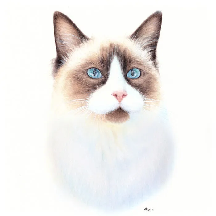 I Create Animal-Themed Paintings Using Watercolor, Ink, And Acrylic Paint, Here Are My best 70 Works