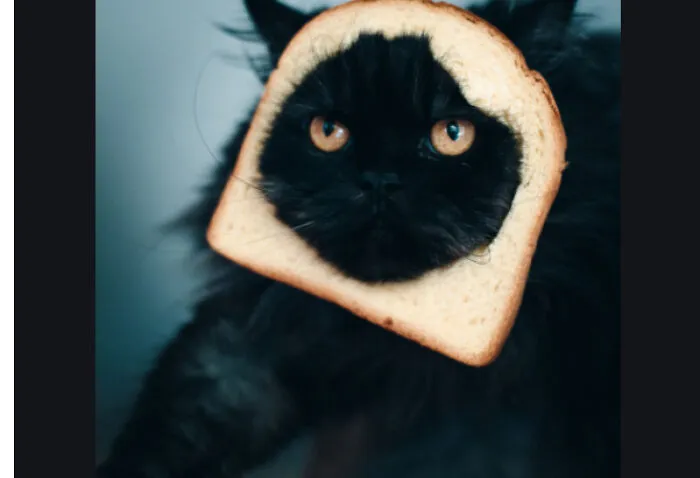 This Is A Willy Loaf!