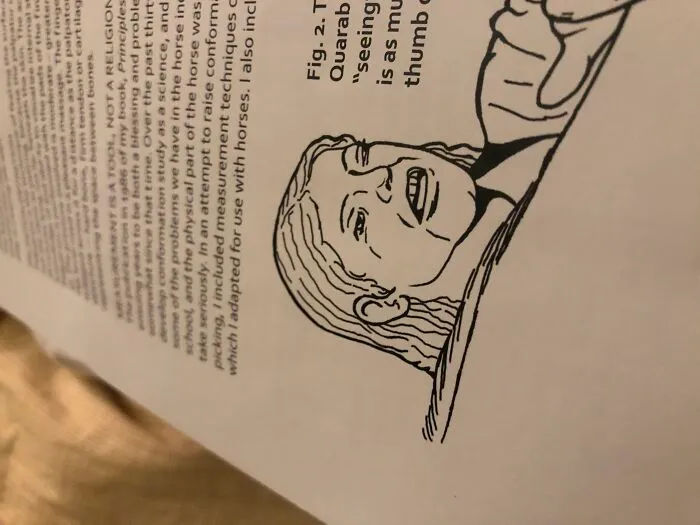 In A Horse Comformation Book
