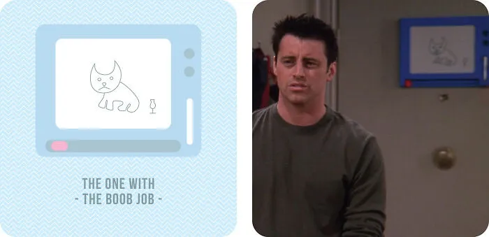 S09e16: The One With The Boob Job