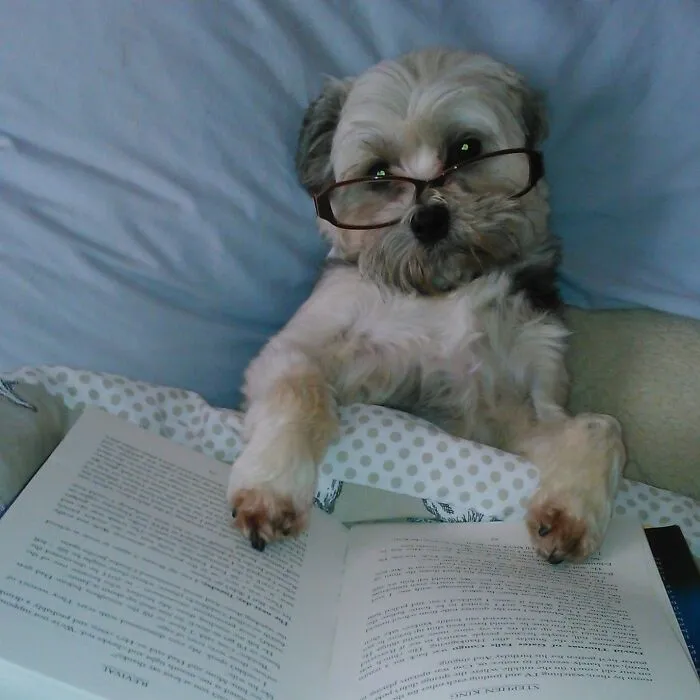 You Can't Beat A Bit Of Stephen King In Bed!