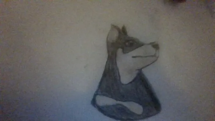 Meh Doge- :>
