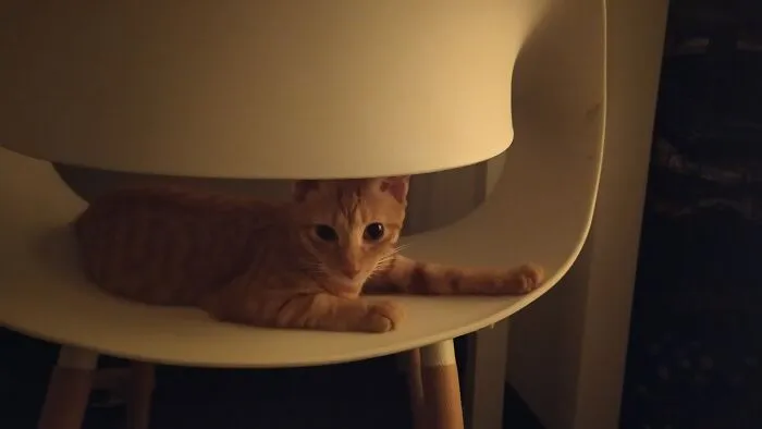 Her Chair.