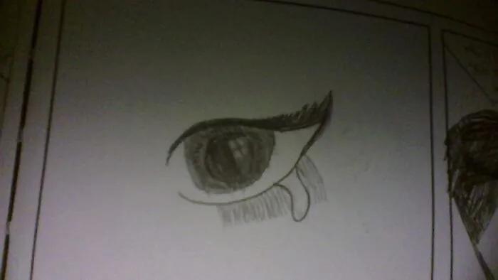 Eye Sketch