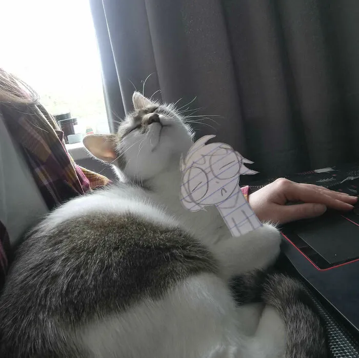 You Are Never Bored When You Are Sleeping