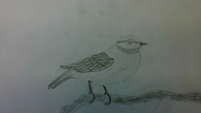 This Is Also One Of My Drawings