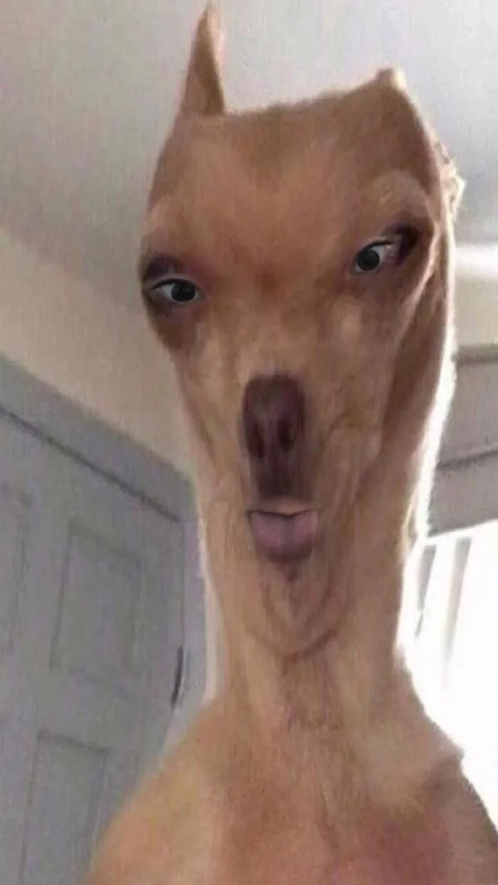 This Aint Even The Best One