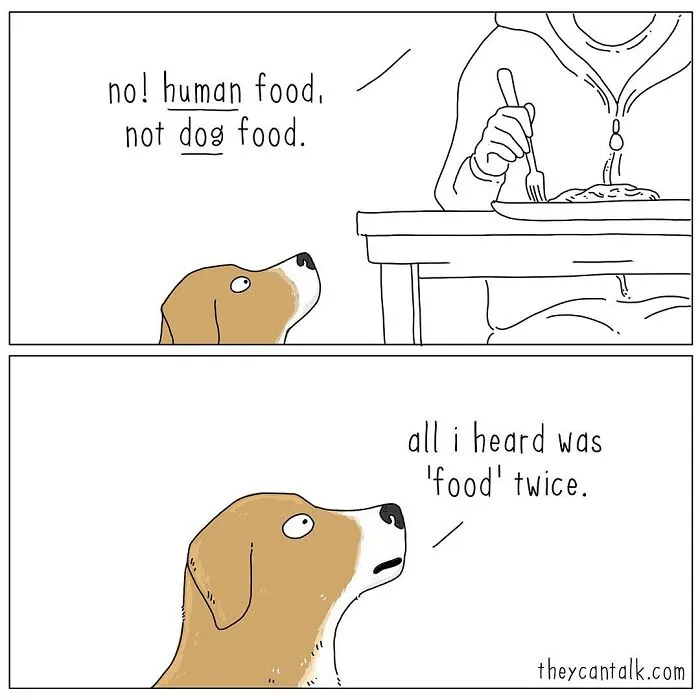 Artist Reveals What Animals Would Say If They Could Talk (30 New Pics)