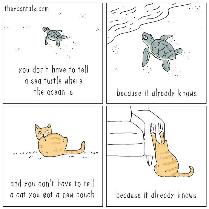Artist Reveals What Animals Would Say If They Could Talk (30 New Pics)