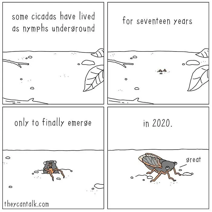 Artist Reveals What Animals Would Say If They Could Talk (30 New Pics)
