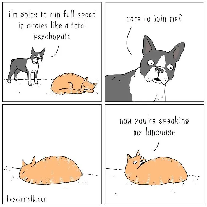 Artist Reveals What Animals Would Say If They Could Talk (30 New Pics)
