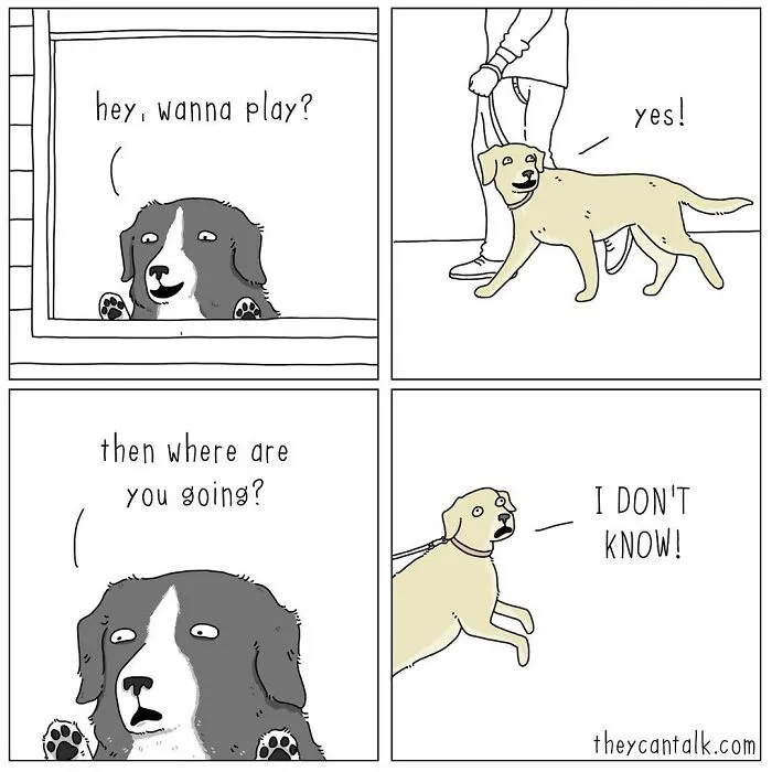 Artist Reveals What Animals Would Say If They Could Talk (30 New Pics)