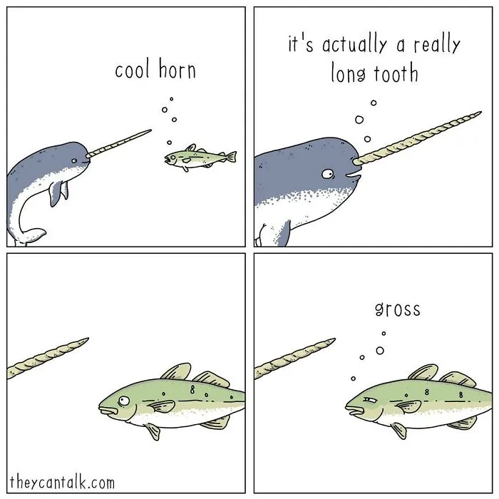 Artist Reveals What Animals Would Say If They Could Talk (30 New Pics)