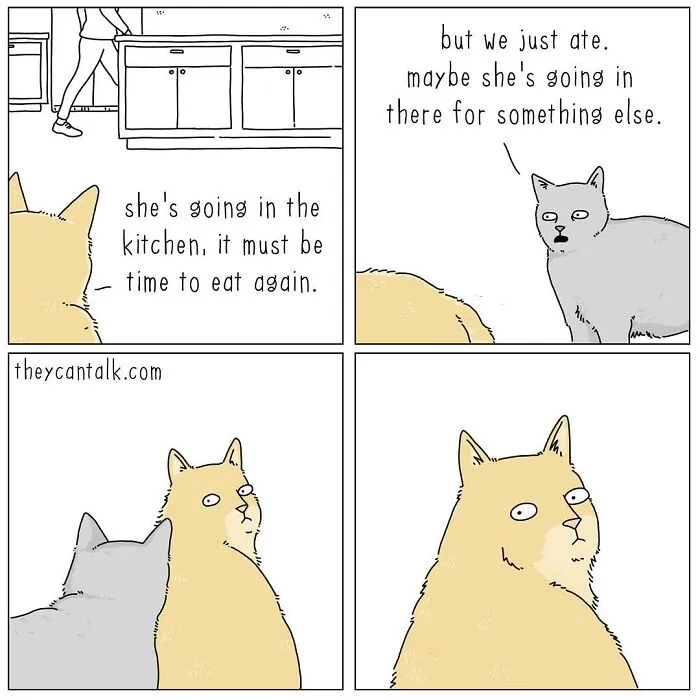 Artist Reveals What Animals Would Say If They Could Talk (30 New Pics)