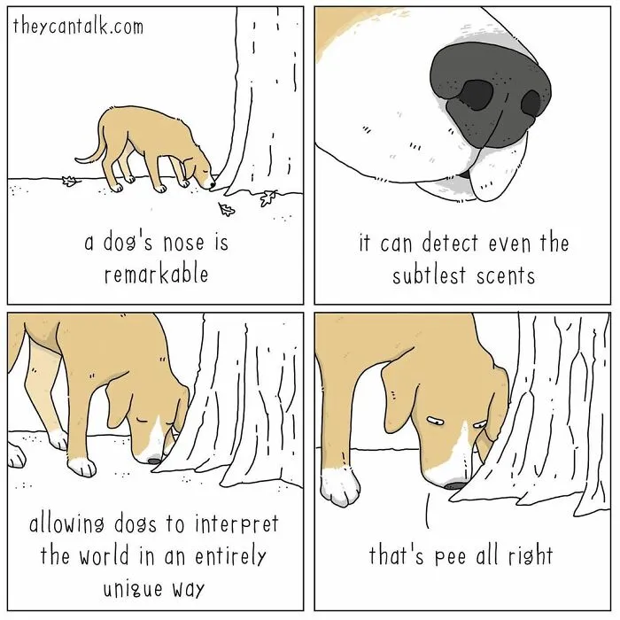 Artist Reveals What Animals Would Say If They Could Talk (30 New Pics)