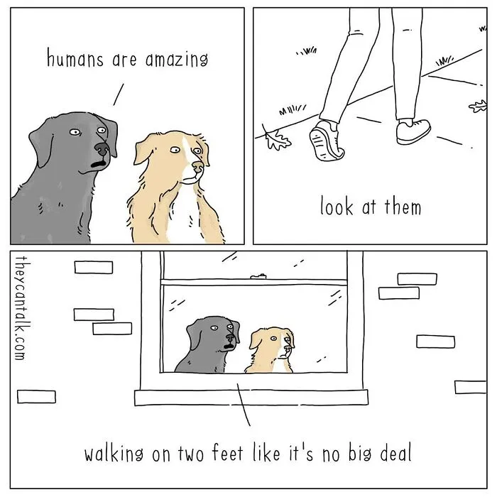 Artist Reveals What Animals Would Say If They Could Talk (30 New Pics)