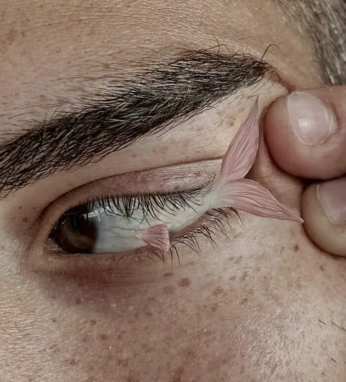71  Surreal Digital Manipulations By Alessandro Malossi