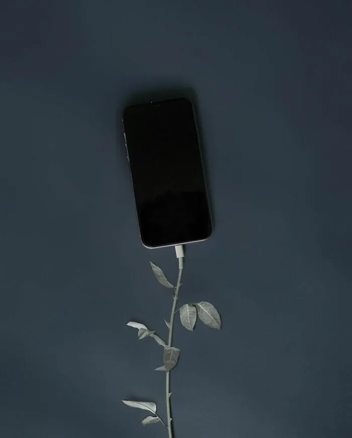 71  Surreal Digital Manipulations By Alessandro Malossi