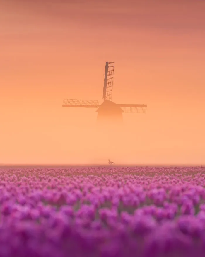 Being Small