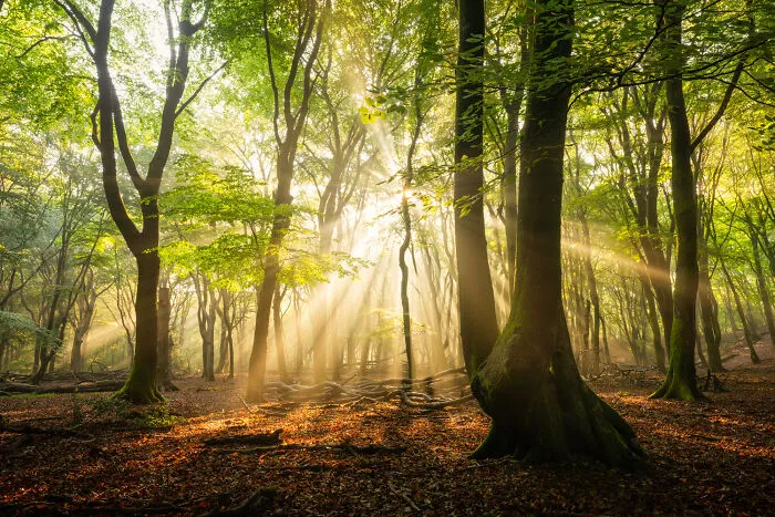 Light Explosion