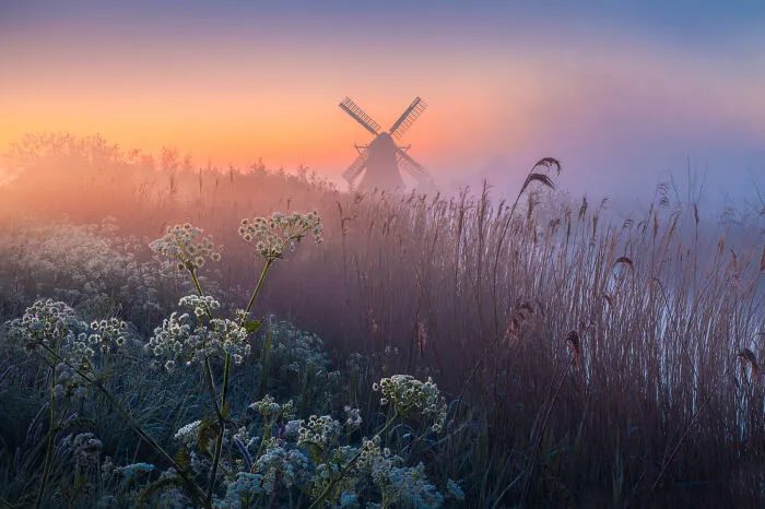 Fairy Mill