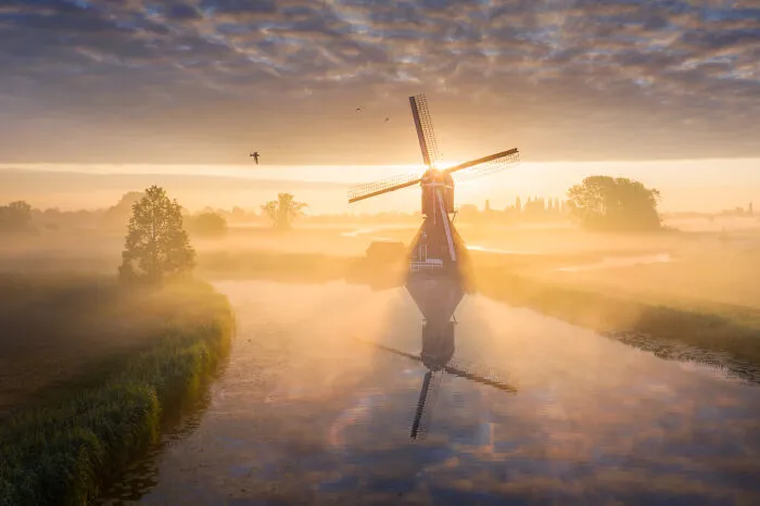 An Early Rise