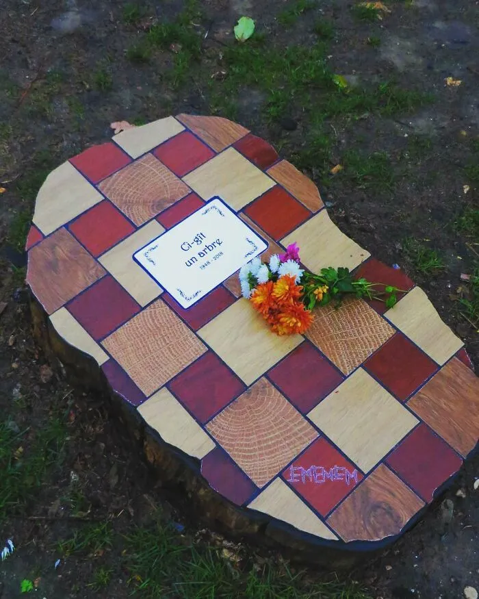 Artist Mends Cracked Sidewalks, Potholes And Buildings Using Vibrant Mosaics, And Here Are His Best 30 Works