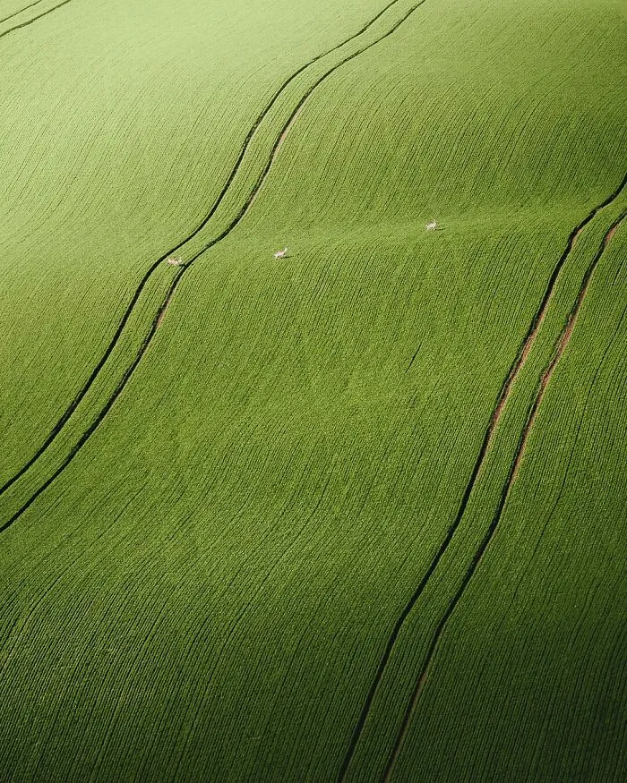 Breathtaking Aerial Photos Of Mountains, Rivers, Lakes And Other Natural Wonders By Gábor Nagy (71 pics)