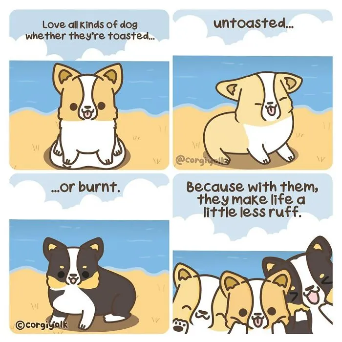 My 30 Wholesome Comics Featuring A Corgi And His Adventures With Other Animal Friends