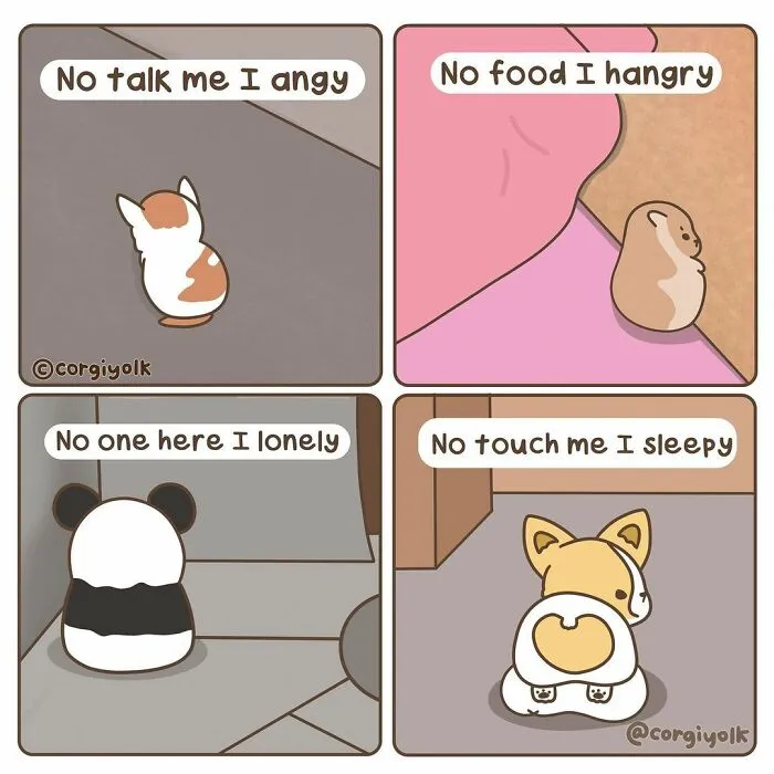My 30 Wholesome Comics Featuring A Corgi And His Adventures With Other Animal Friends