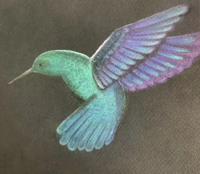 My First Hummingbird