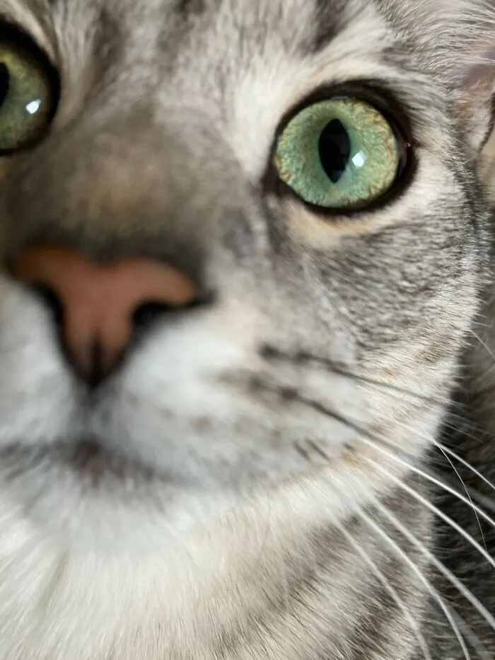 Well Hello There...