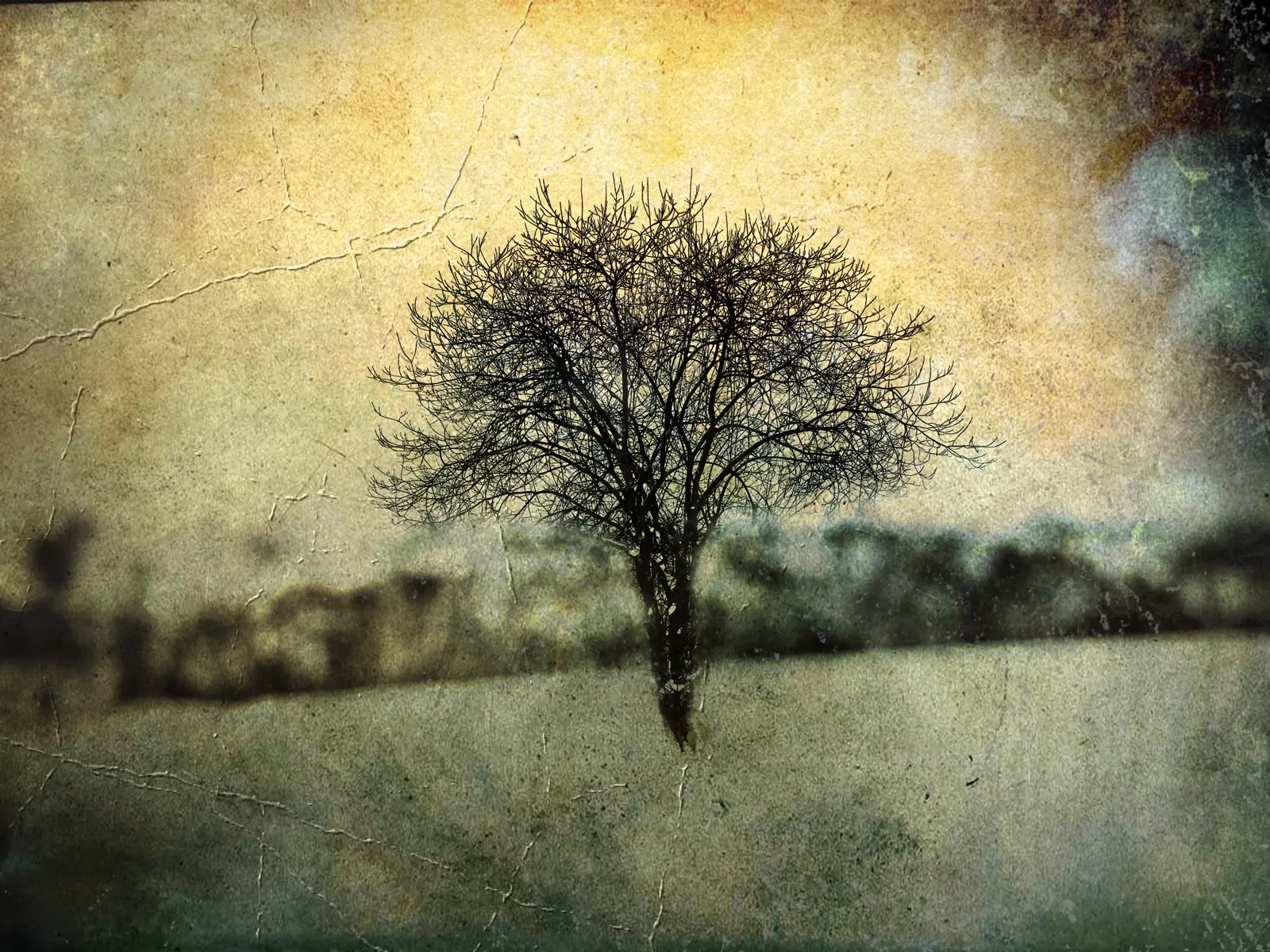 Visualization Of Winter