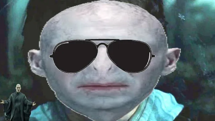 Voldemort Potter