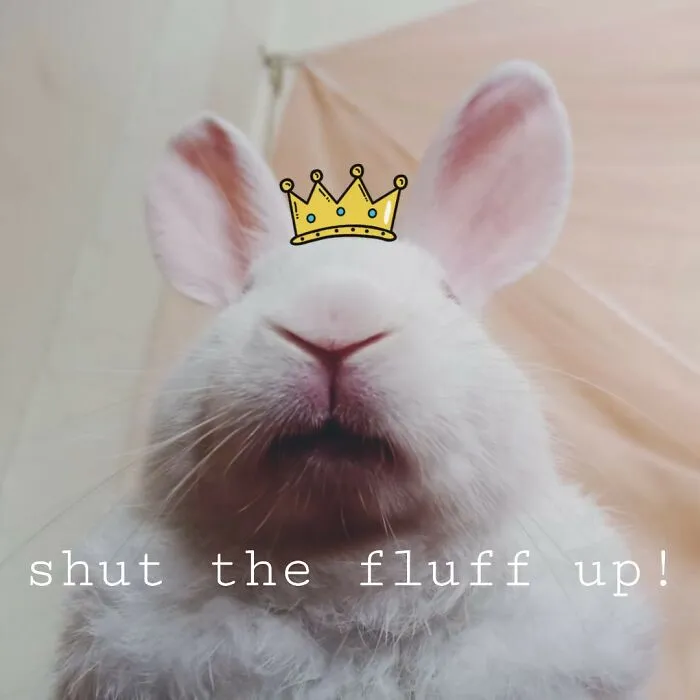 I Present Y'all The King Fluff-X !!!