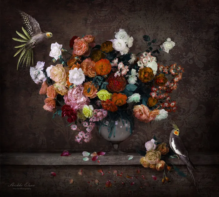 I Show The Fleeting Nature Of Life With My 17 Still Life Photographs
