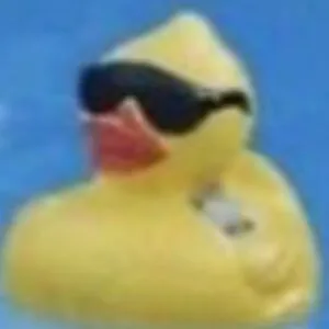 Rubber Ducky