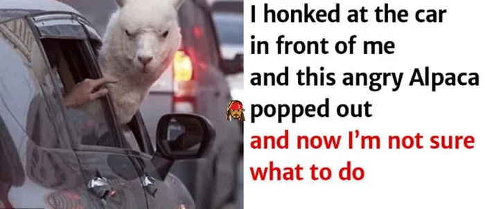 :p
