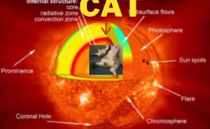 Hey Pandas, I Dare You To Photoshop This Cat To Be The Best Thing You Can Think Of (Closed)