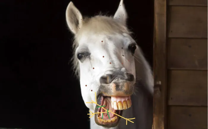 Hay(Hey)! Leave Me Alone Im Eating