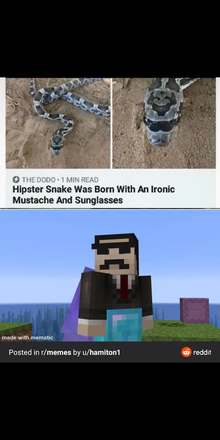 Hermitcraft Meme Time!