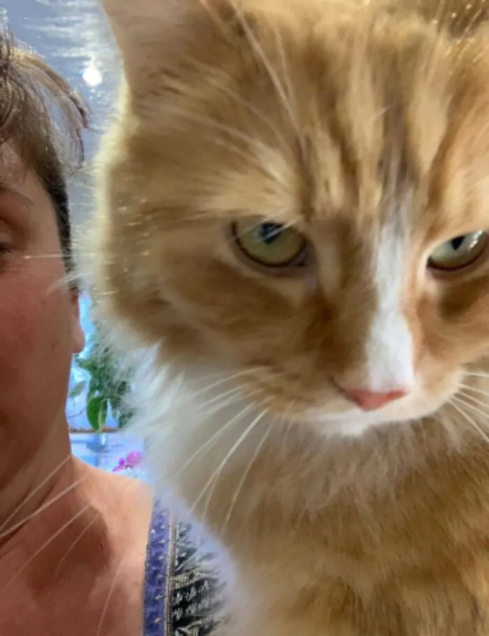 My Cat Litteraly Despises My Mum