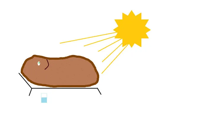 Baked Potato