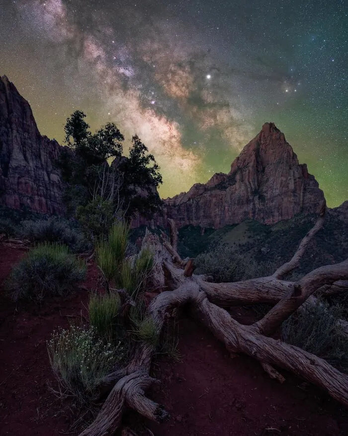 “The Watchman” By Brandt Ryder